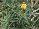 DSCN0906
