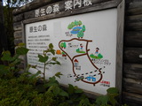 DSCN0207