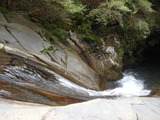 DSCN5466