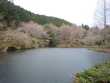 DSCN7213