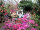 DSCN8649