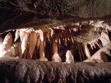DSCN2883