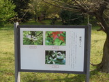 DSCN7163