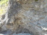 DSCN9659