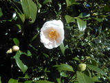 DSCN0642