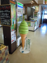 DSCN3209