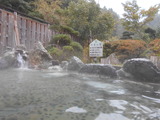 DSCN7691