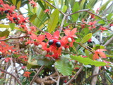 DSCN0922