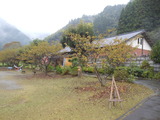 DSCN5783
