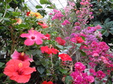 DSCN8651