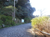 DSCN0211