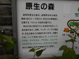 DSCN0208