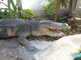 DSCN1088