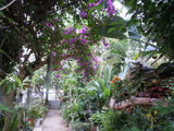 DSCN8660