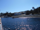 DSCN9008