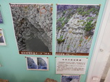 DSCN9768
