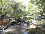 DSCN8010