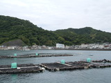 DSCN8857