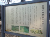 DSCN4942