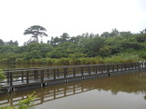 DSCN8975
