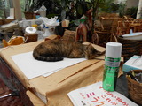 DSCN0911