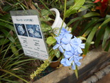 DSCN0916