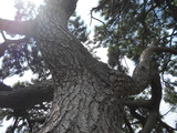 DSCN6094