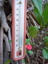 DSCN8646