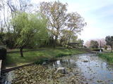 DSCN7164