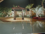 DSCN2968