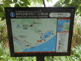 DSCN8985