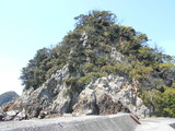 DSCN9929