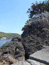 DSCN9918
