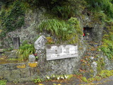 DSCN0895