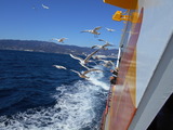 DSCN9003