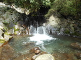 DSCN5459
