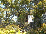 DSCN9907