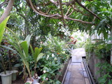 DSCN8623