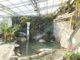 DSCN1065