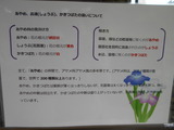 DSCN0528
