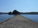 DSCN9913