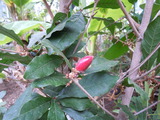 DSCN8627