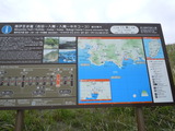 DSCN8594