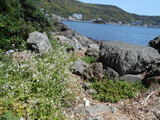 DSCN9936