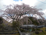 DSCN9495