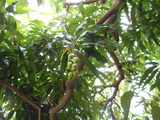 DSCN0913