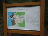 DSCN8892