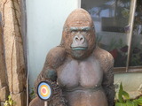 DSCN1074