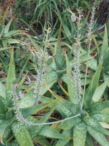 DSCN0902