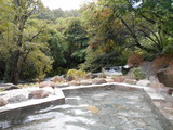 DSCN6799